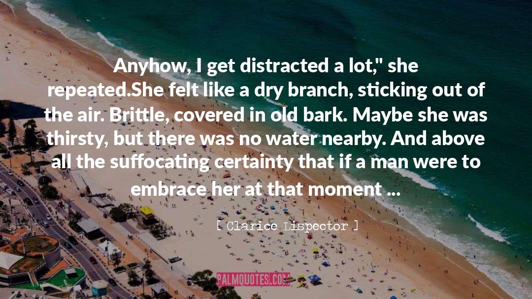 No Water quotes by Clarice Lispector