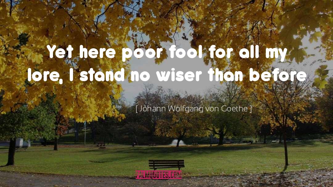 No Wiser quotes by Johann Wolfgang Von Goethe