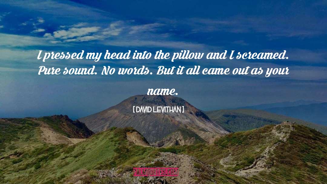 No Words quotes by David Levithan