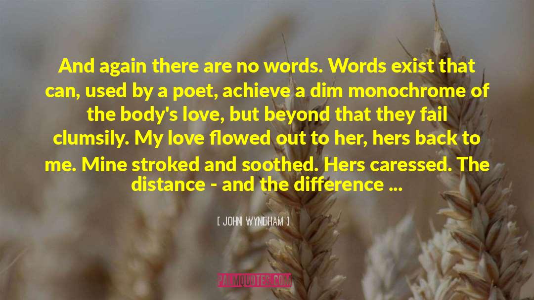 No Words quotes by John Wyndham