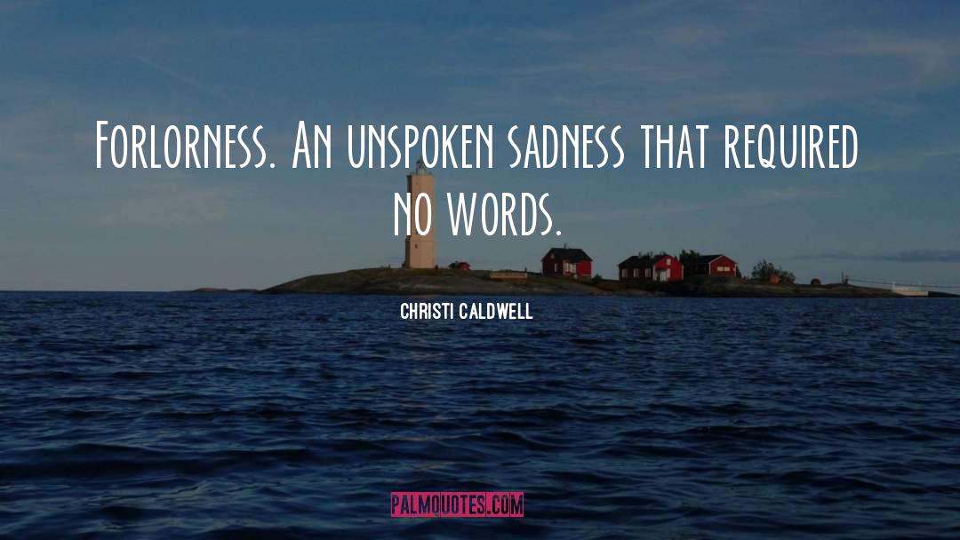 No Words quotes by Christi Caldwell