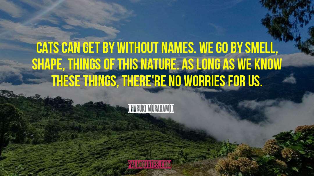 No Worries quotes by Haruki Murakami