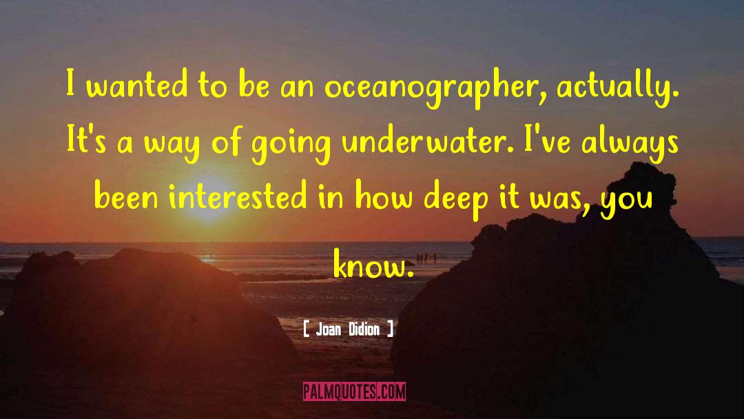 Noaas Oceanographer quotes by Joan Didion