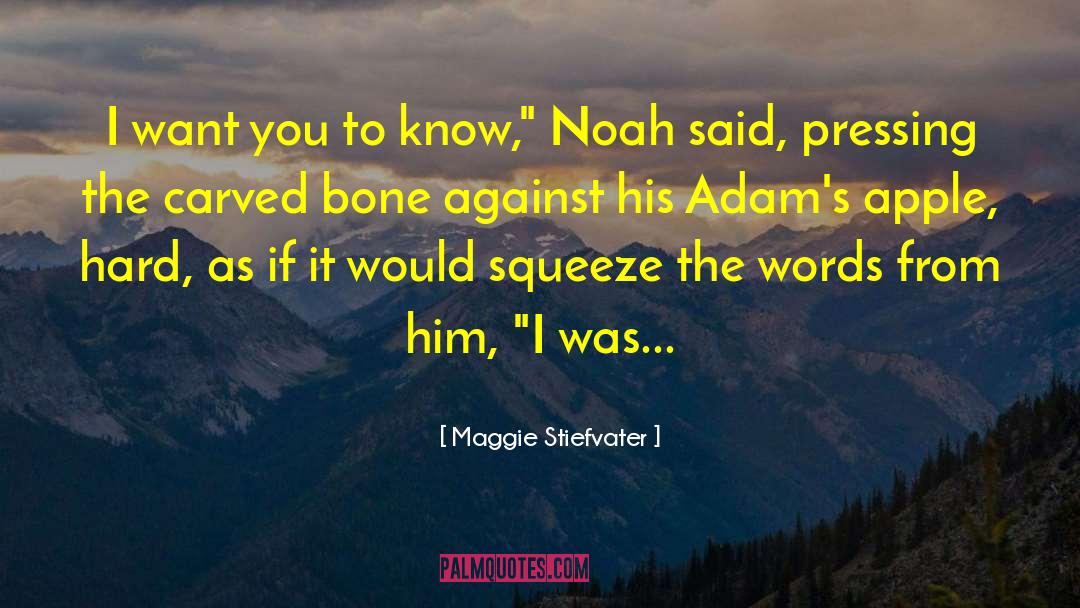 Noah 27s Ark quotes by Maggie Stiefvater