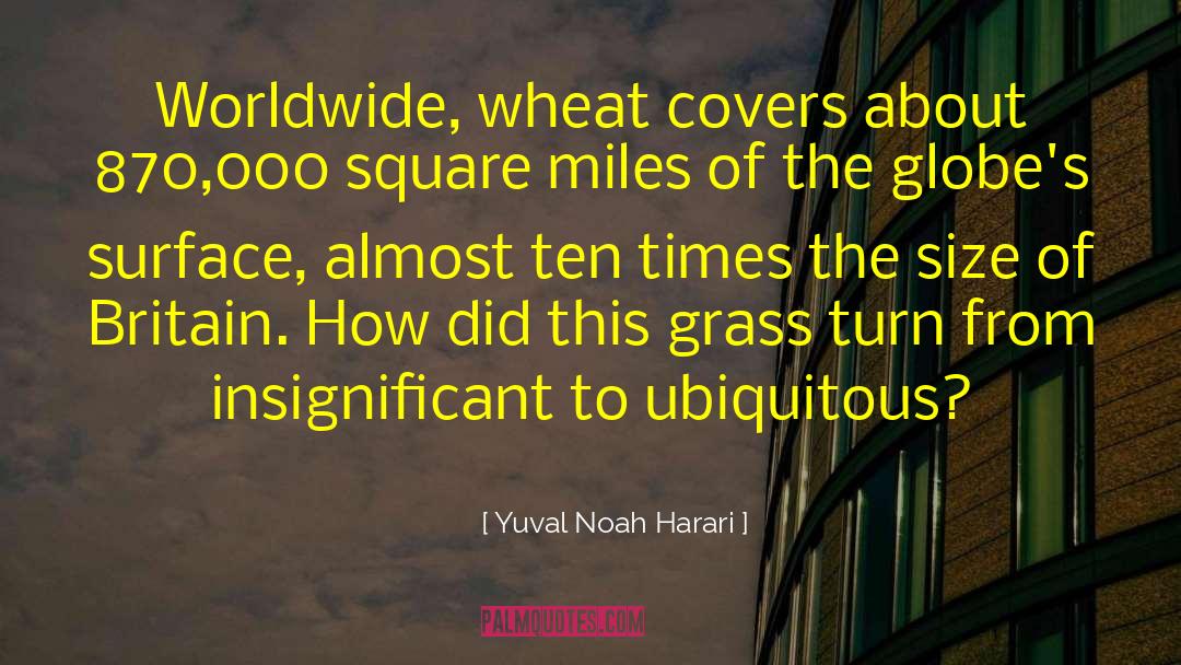 Noah Clark quotes by Yuval Noah Harari