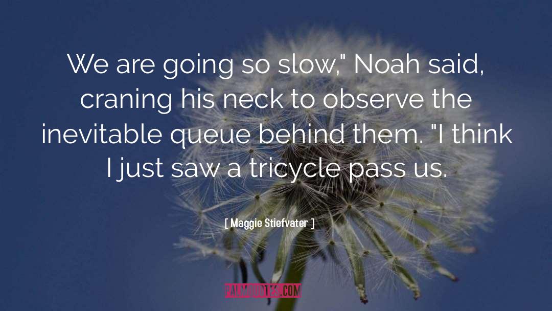 Noah Hutchins quotes by Maggie Stiefvater