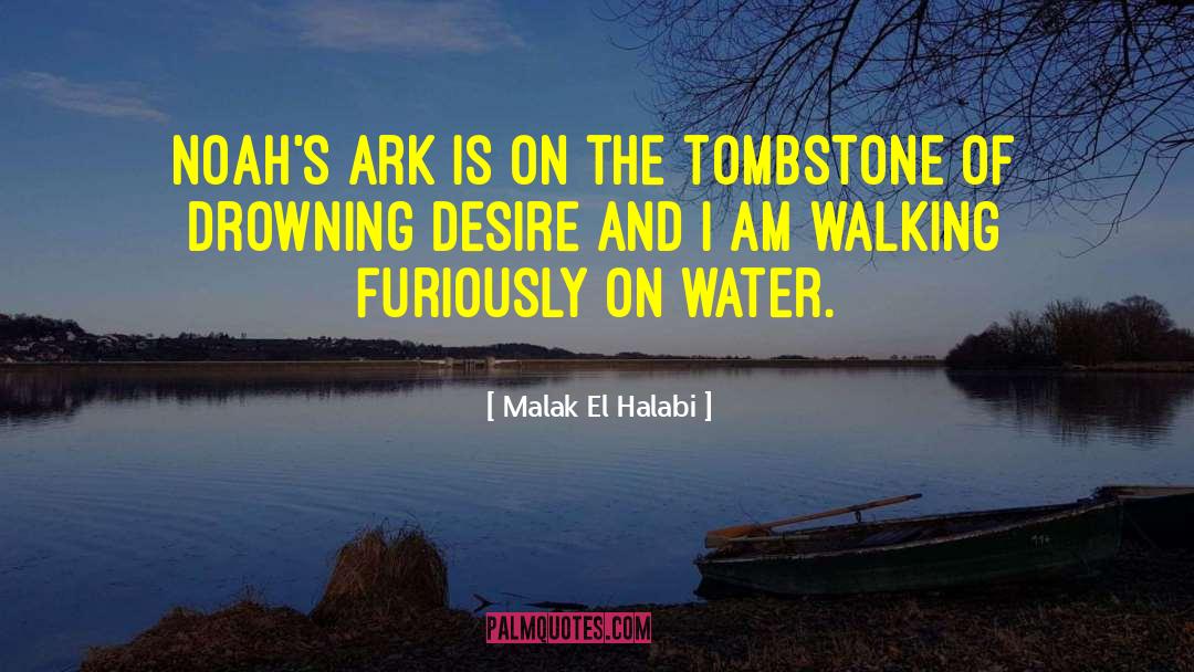 Noahs Ark quotes by Malak El Halabi