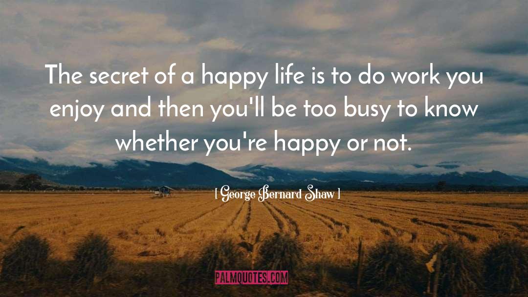 Noble Life quotes by George Bernard Shaw