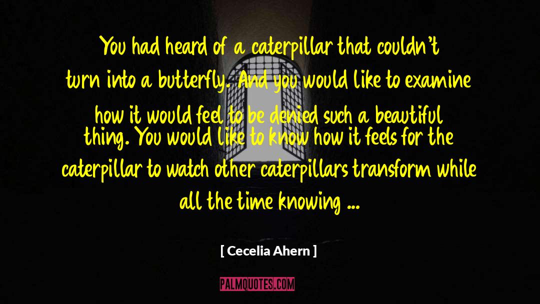 Nobody Knowing How You Feel quotes by Cecelia Ahern