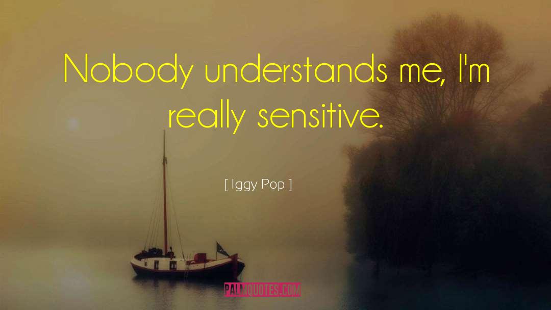 Nobody Understands quotes by Iggy Pop