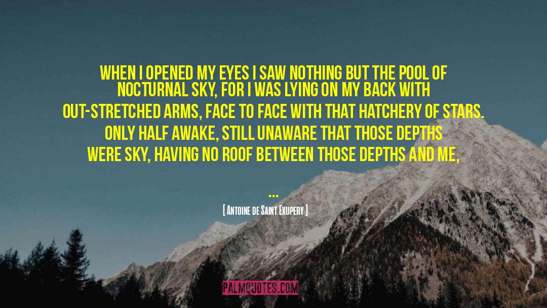 Nocturnal quotes by Antoine De Saint Exupery