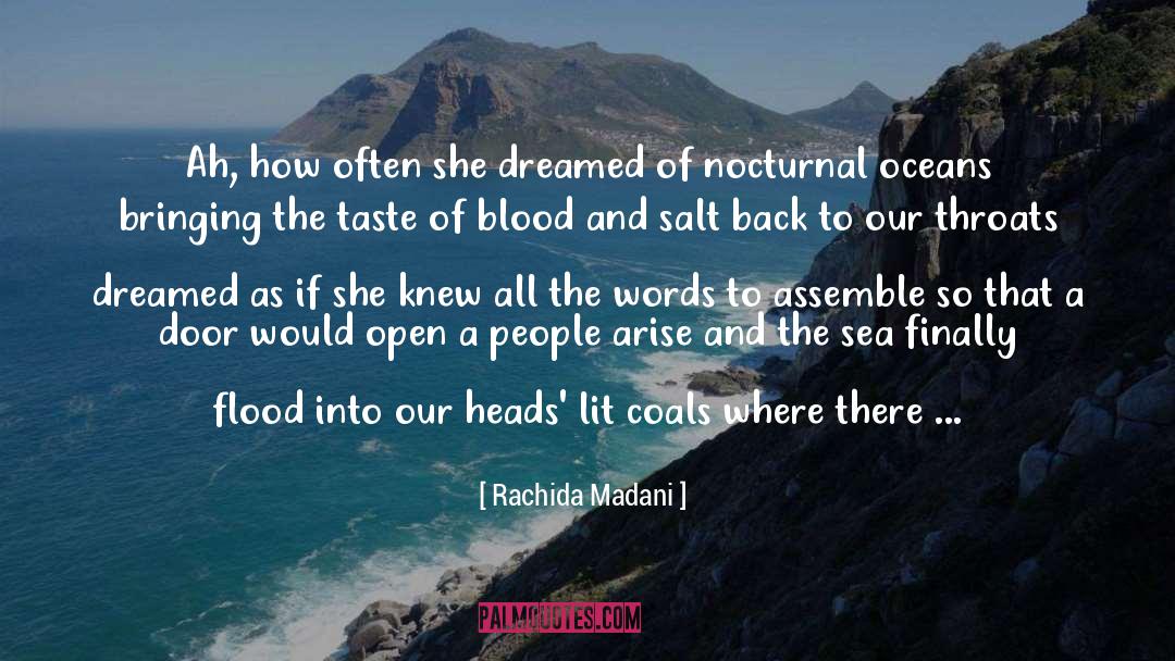 Nocturnal quotes by Rachida Madani