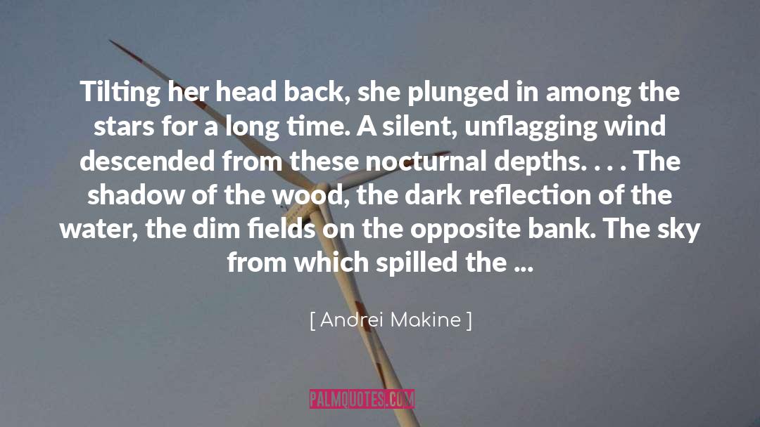 Nocturnal quotes by Andrei Makine