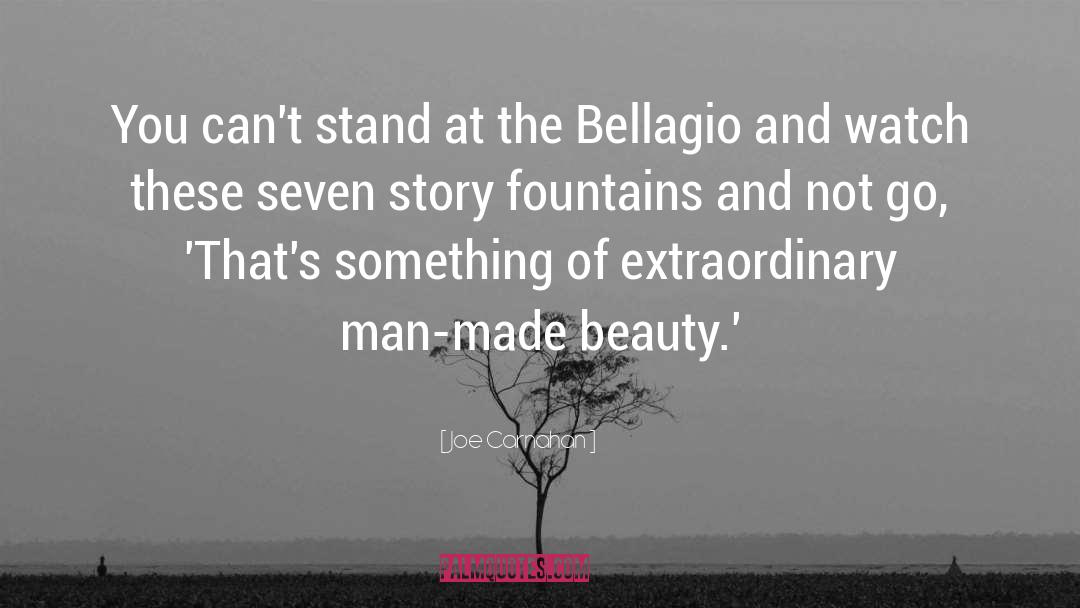 Noirot Bellagio quotes by Joe Carnahan