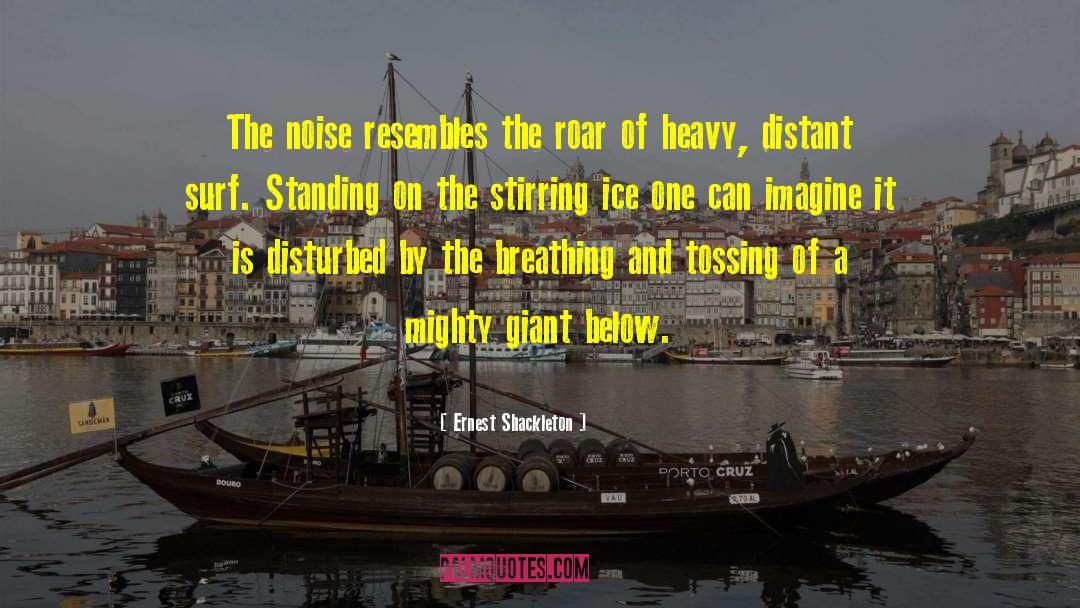 Noise And Stress quotes by Ernest Shackleton