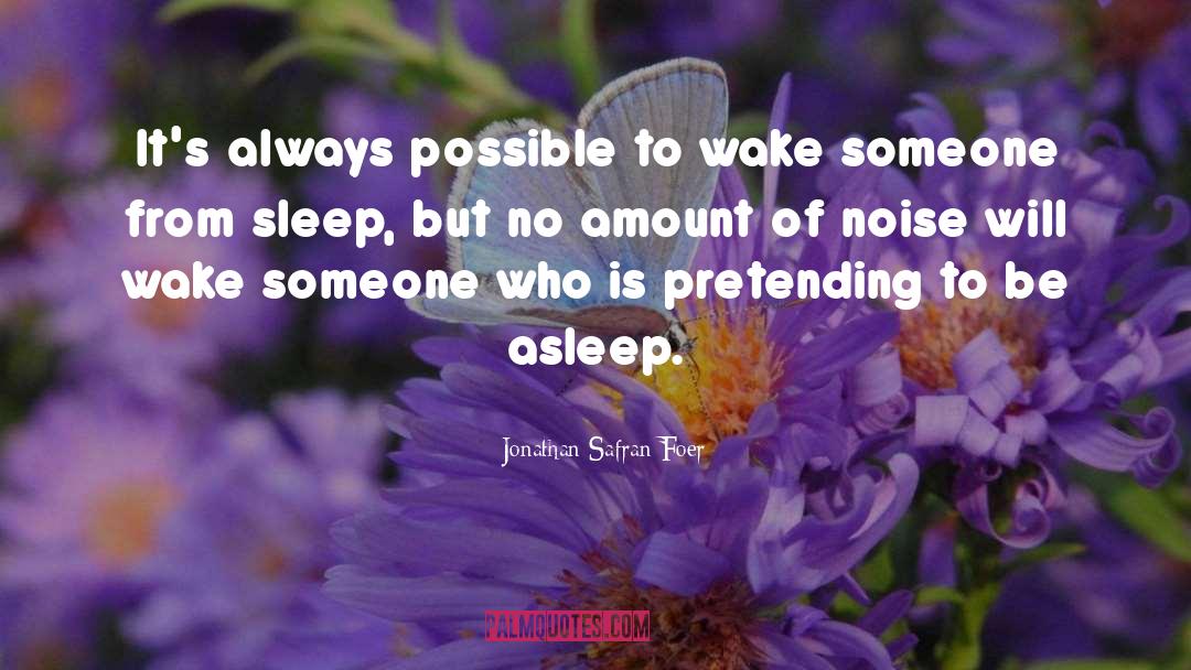 Noise Pollution quotes by Jonathan Safran Foer