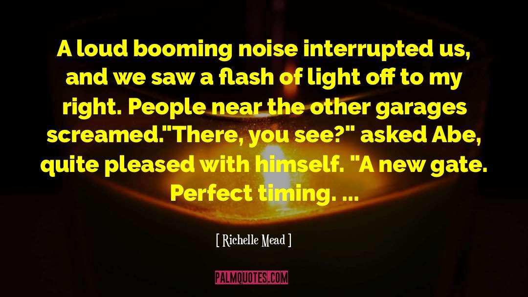 Noise Reduction quotes by Richelle Mead
