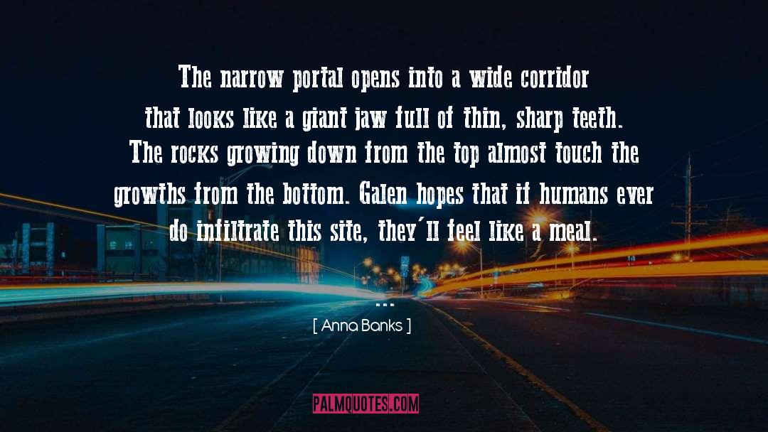 Noms Portal quotes by Anna Banks