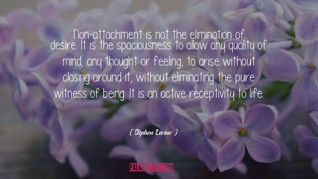 Non Attachment Limitation quotes by Stephen Levine