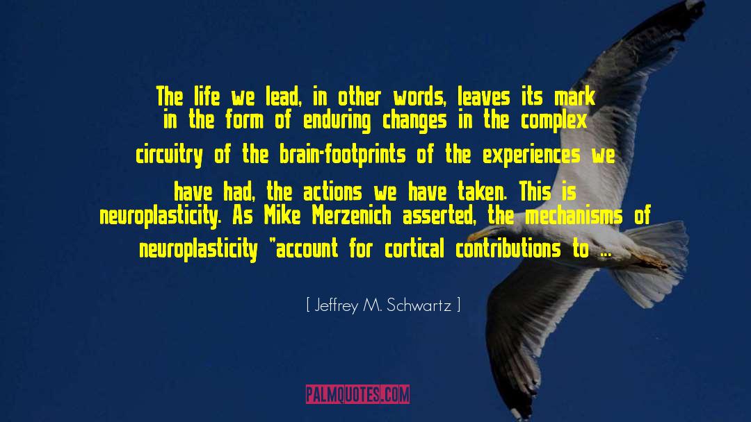 Non Autistic Savants quotes by Jeffrey M. Schwartz