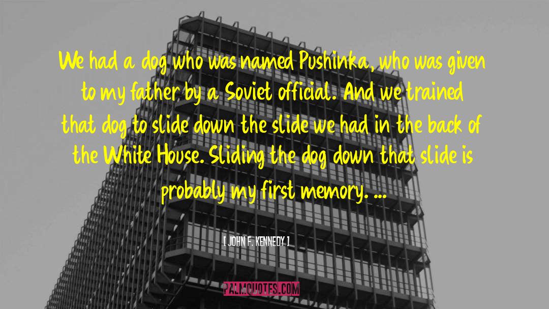 Non Aversive Dog Training quotes by John F. Kennedy