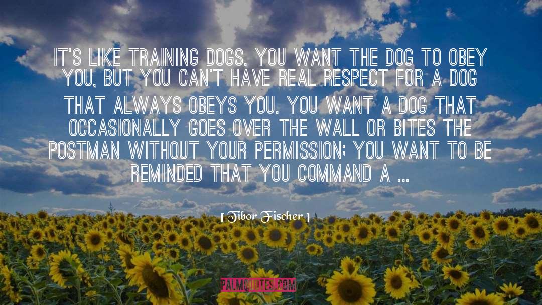 Non Aversive Dog Training quotes by Tibor Fischer