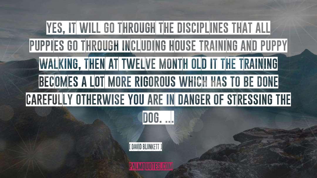 Non Aversive Dog Training quotes by David Blunkett