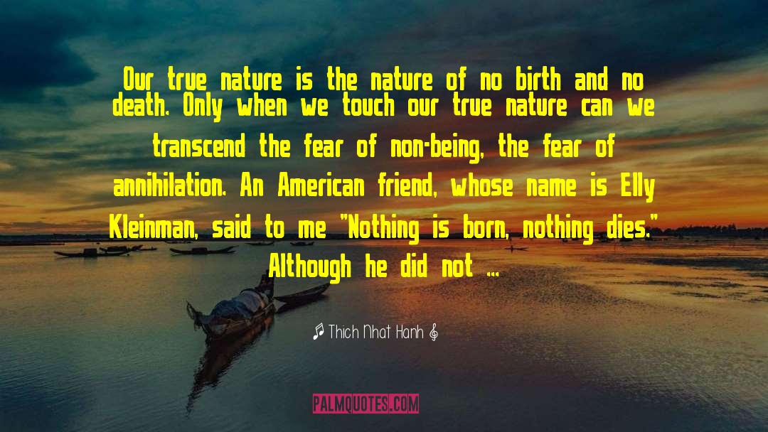 Non Being quotes by Thich Nhat Hanh