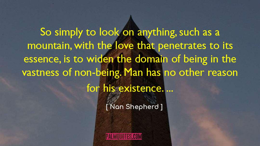 Non Being quotes by Nan Shepherd