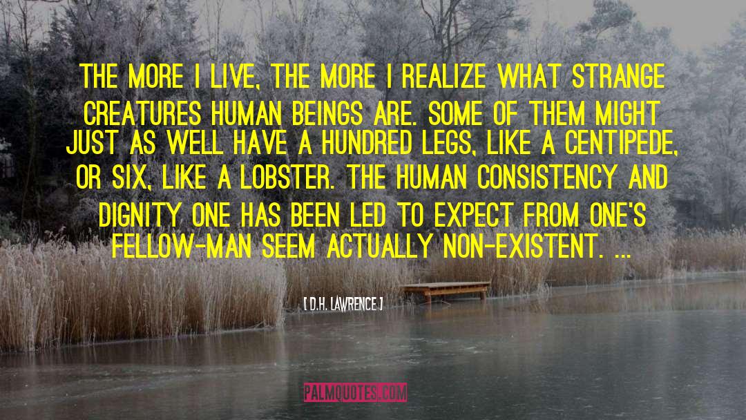 Non Existent Reason quotes by D.H. Lawrence
