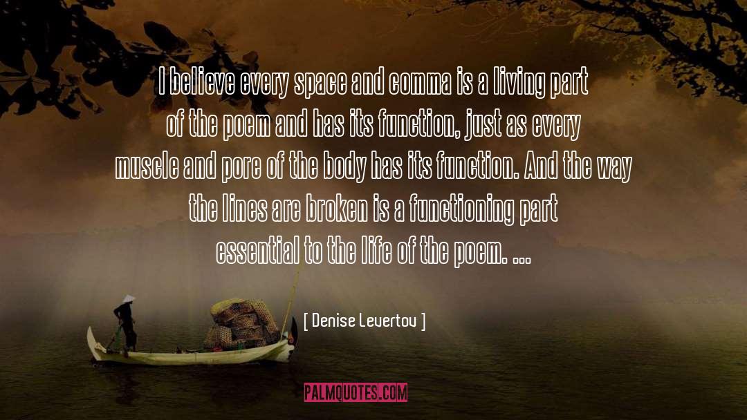 Non Functioning quotes by Denise Levertov