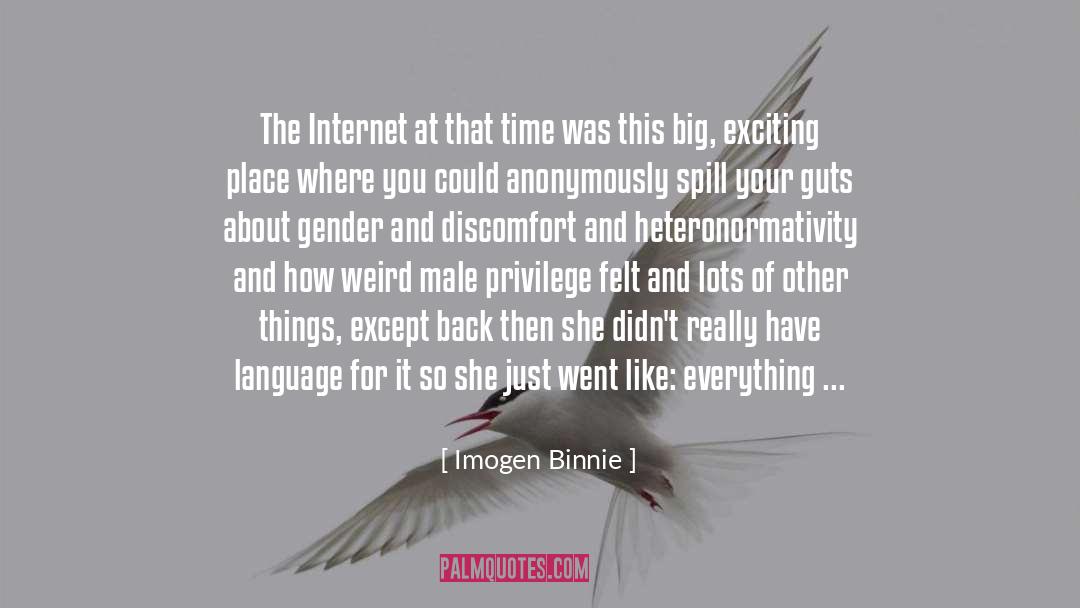 Non Heteronormativity quotes by Imogen Binnie