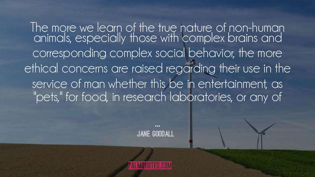 Non Human Animals quotes by Jane Goodall