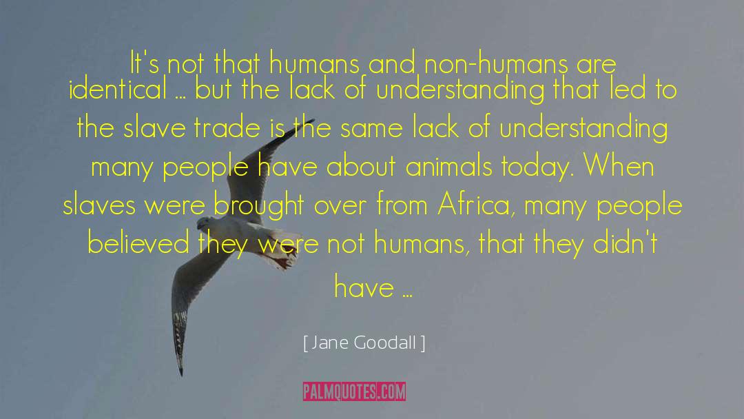 Non Humans quotes by Jane Goodall
