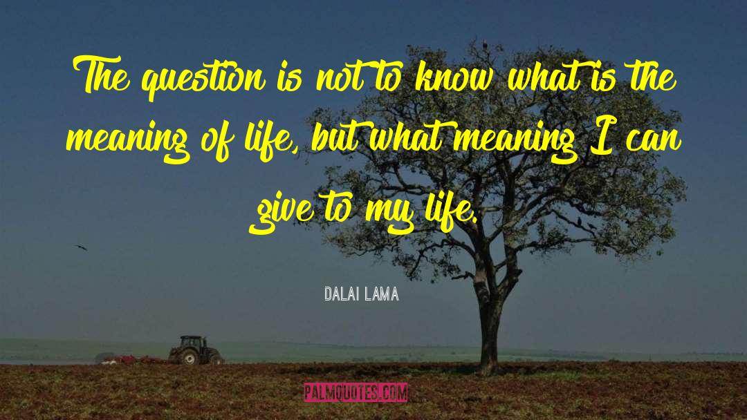 Non Meaning In Tagalog quotes by Dalai Lama
