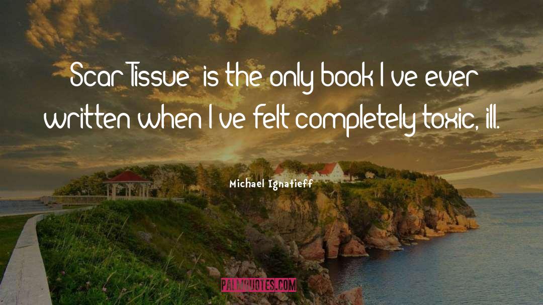 Non Toxic Beauty quotes by Michael Ignatieff