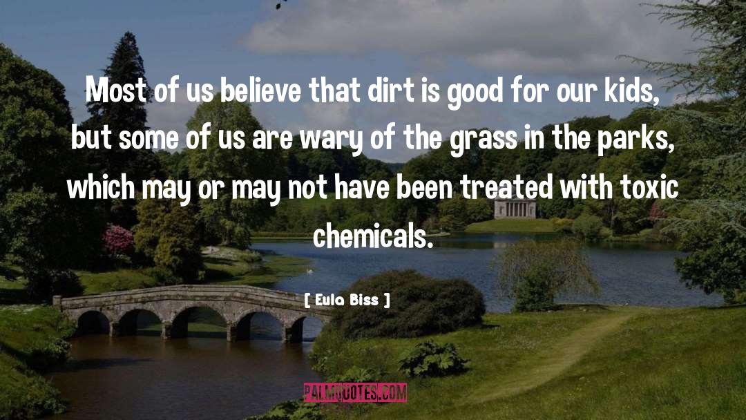 Non Toxic Beauty quotes by Eula Biss