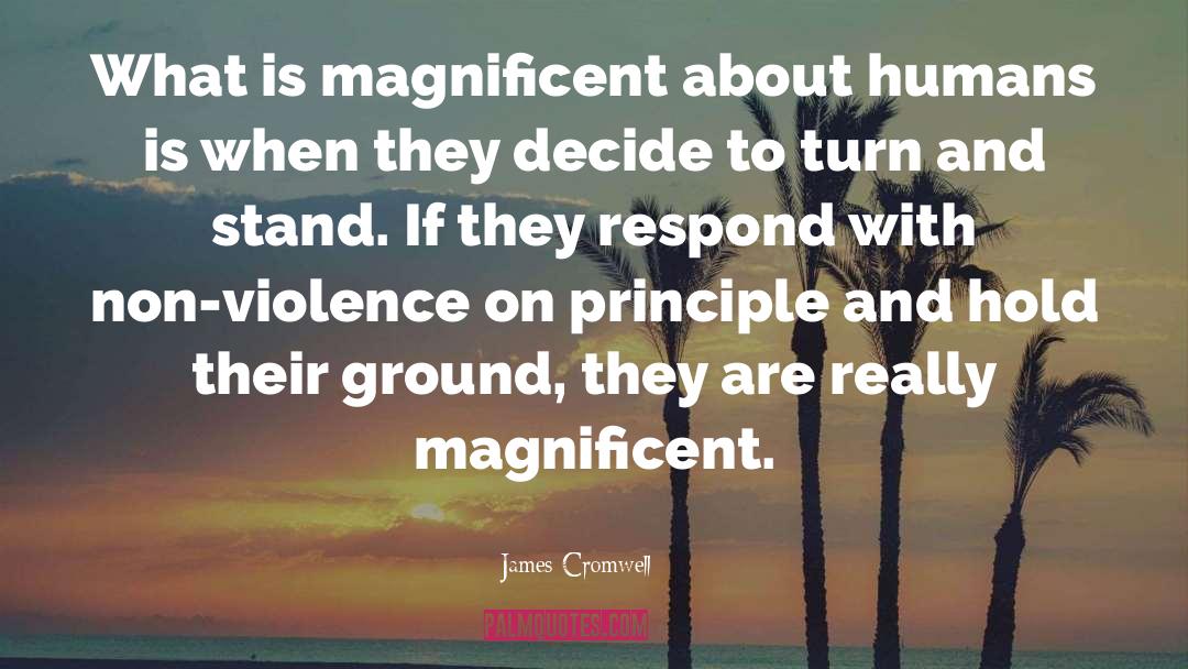 Non Violence Conflicts quotes by James Cromwell