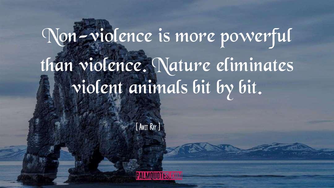 Non Violence quotes by Amit Ray