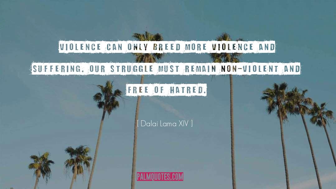 Non Violent quotes by Dalai Lama XIV