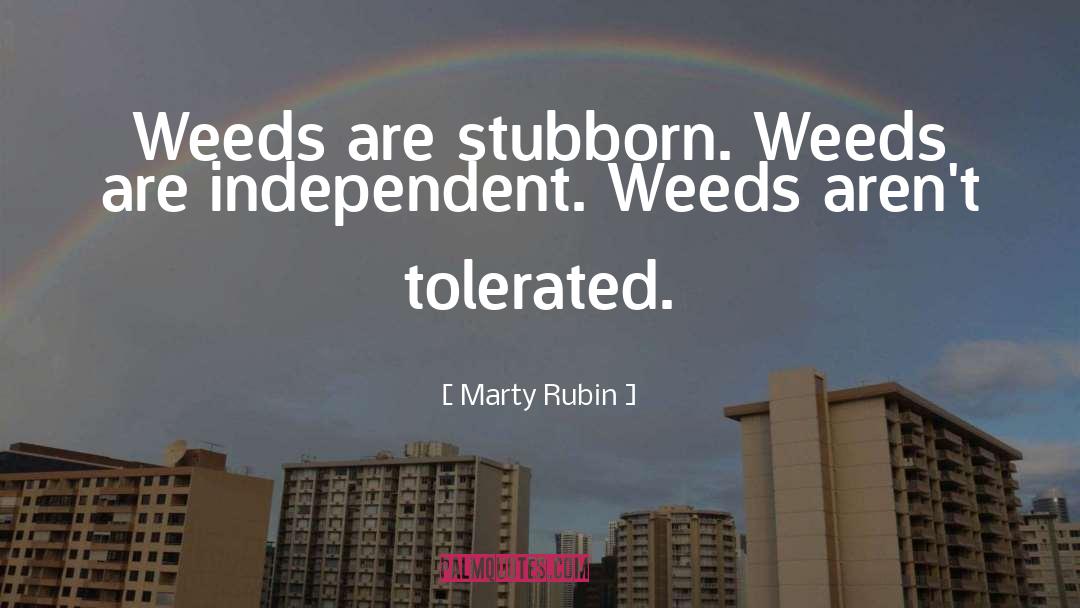 Nonconformists quotes by Marty Rubin