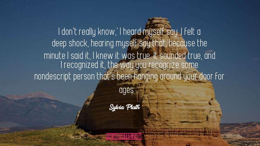 Nondescript quotes by Sylvia Plath