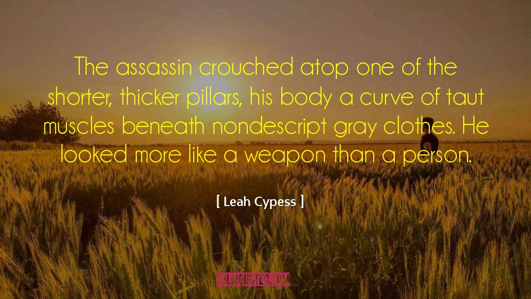 Nondescript quotes by Leah Cypess