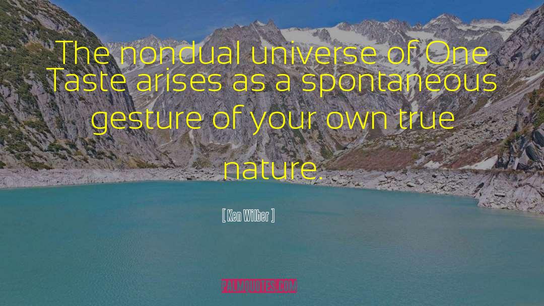 Nondual quotes by Ken Wilber