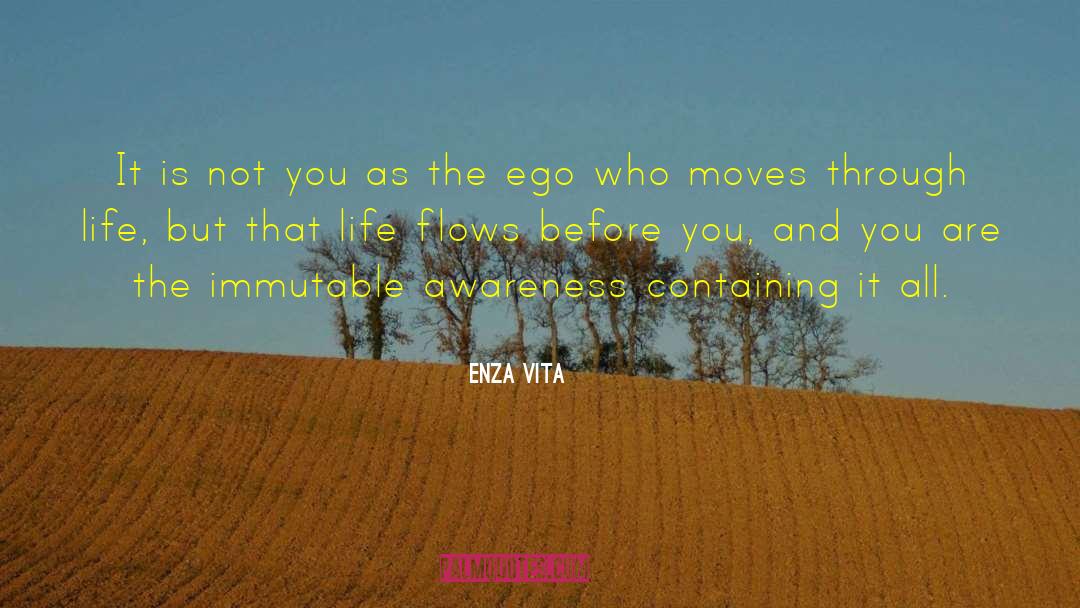 Nonduality quotes by Enza Vita