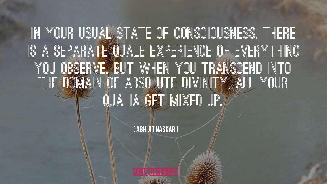 Nonduality quotes by Abhijit Naskar