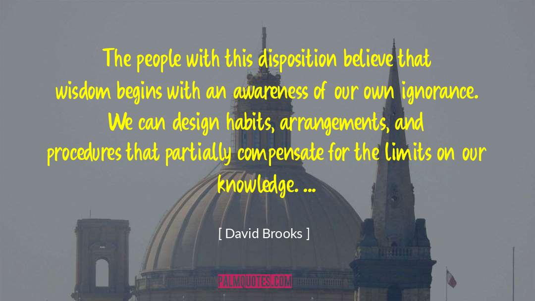 Nonexistence Of Limits quotes by David Brooks