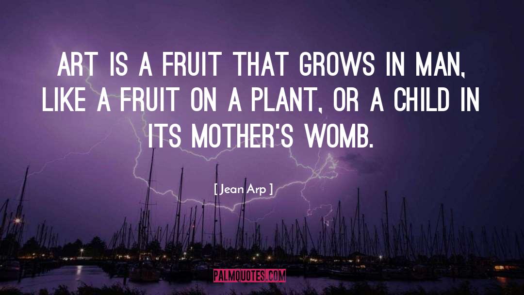 Noni Fruit quotes by Jean Arp
