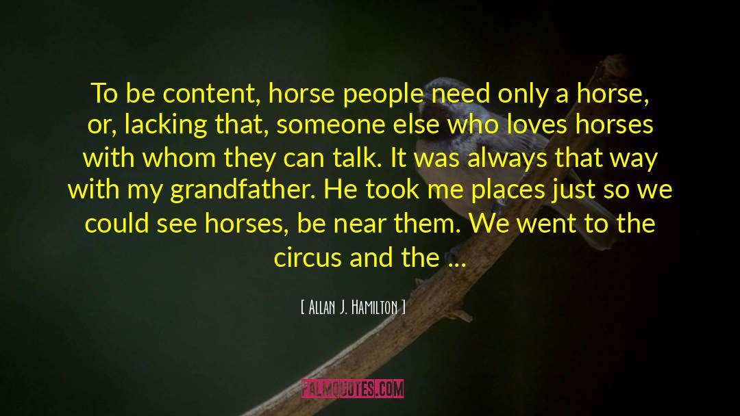 Nonius Horse quotes by Allan J. Hamilton