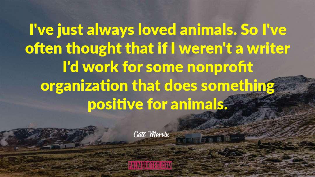 Nonprofits quotes by Cate Marvin